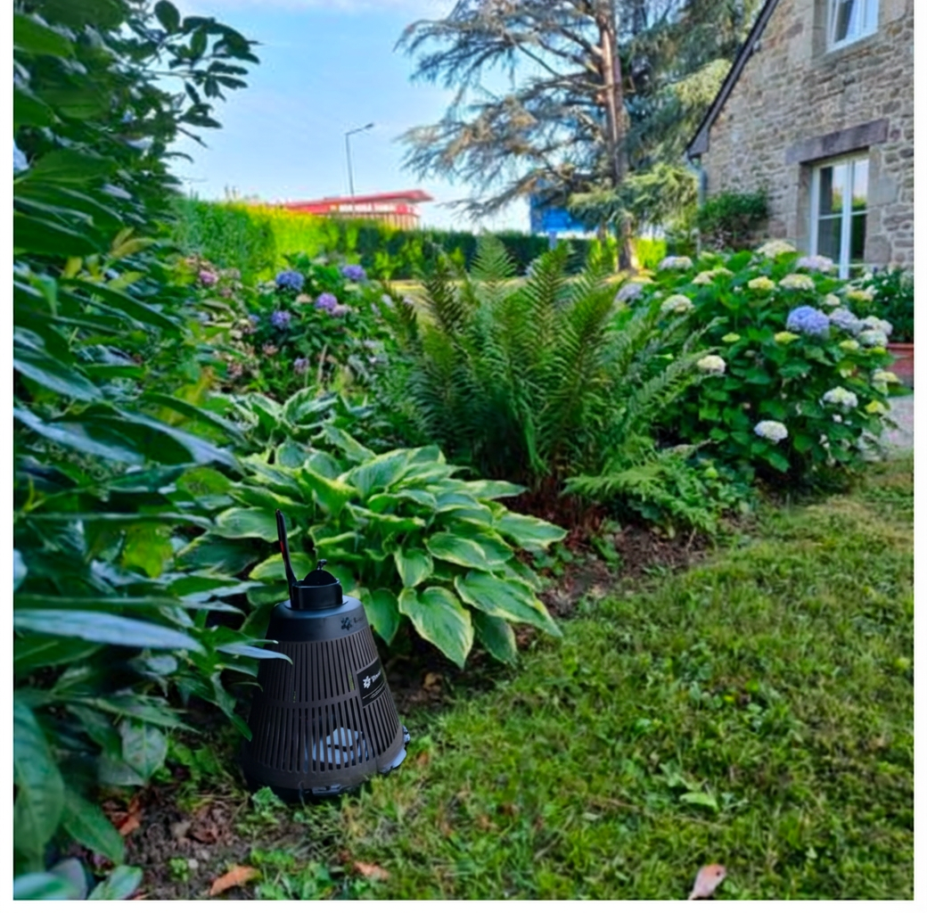 BG-Protector installé dans un jardin — insertion 1